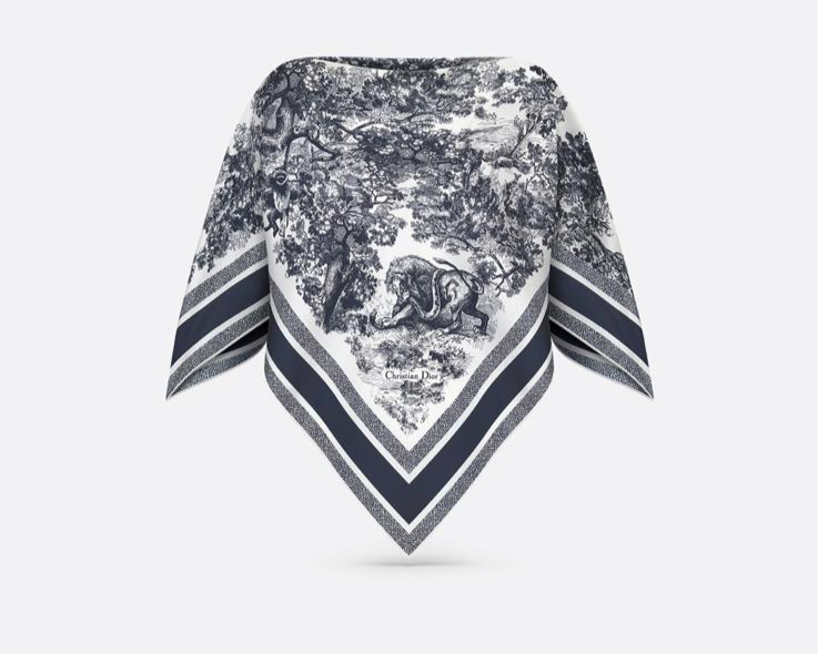 Dior silk top